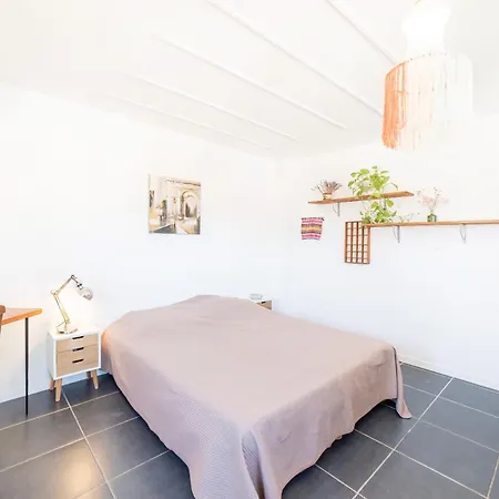Belle Maison - Domaine Reyes Saint-Cyprien (Pyrenees-Orientales)
